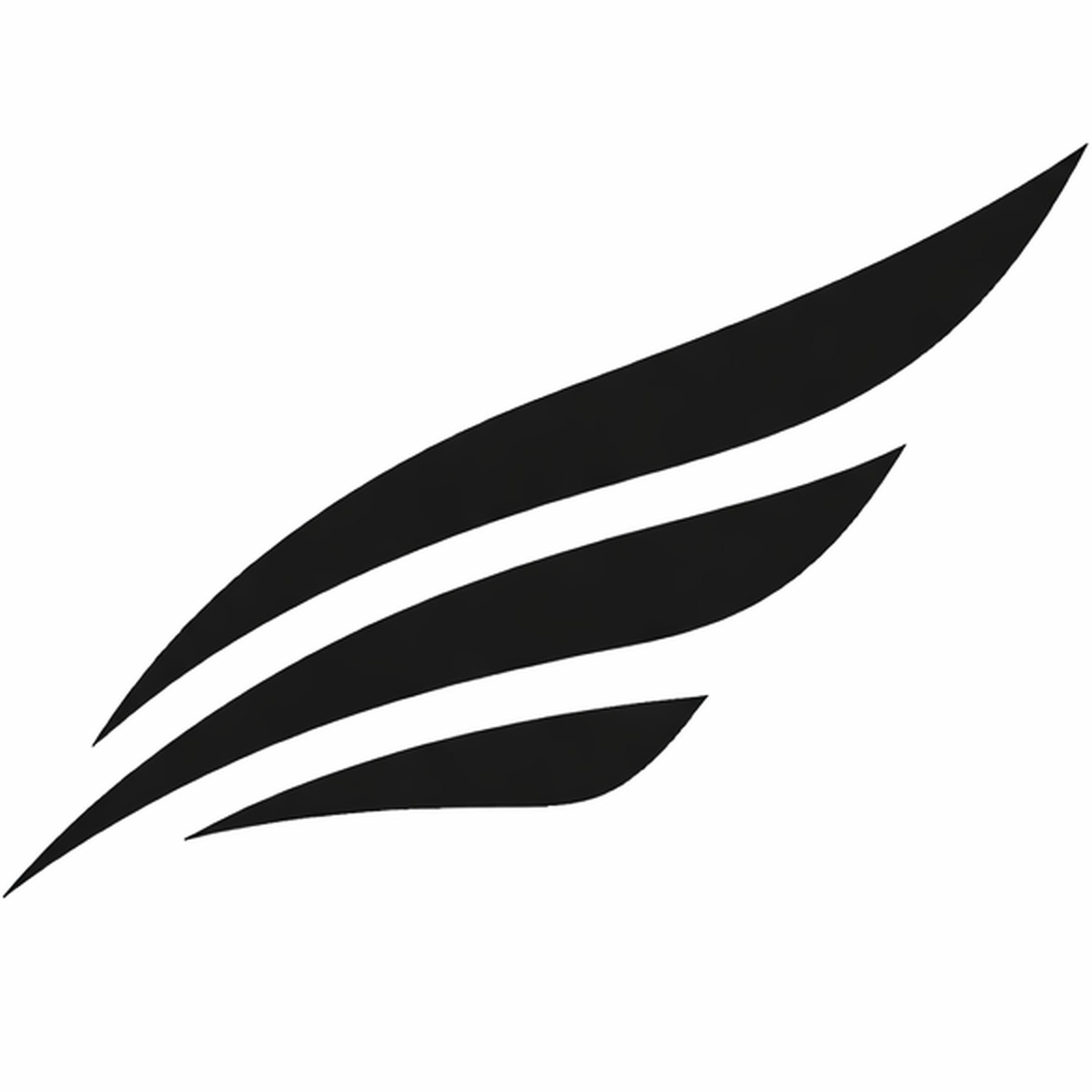 Lanier Longhorns Spirit Wear