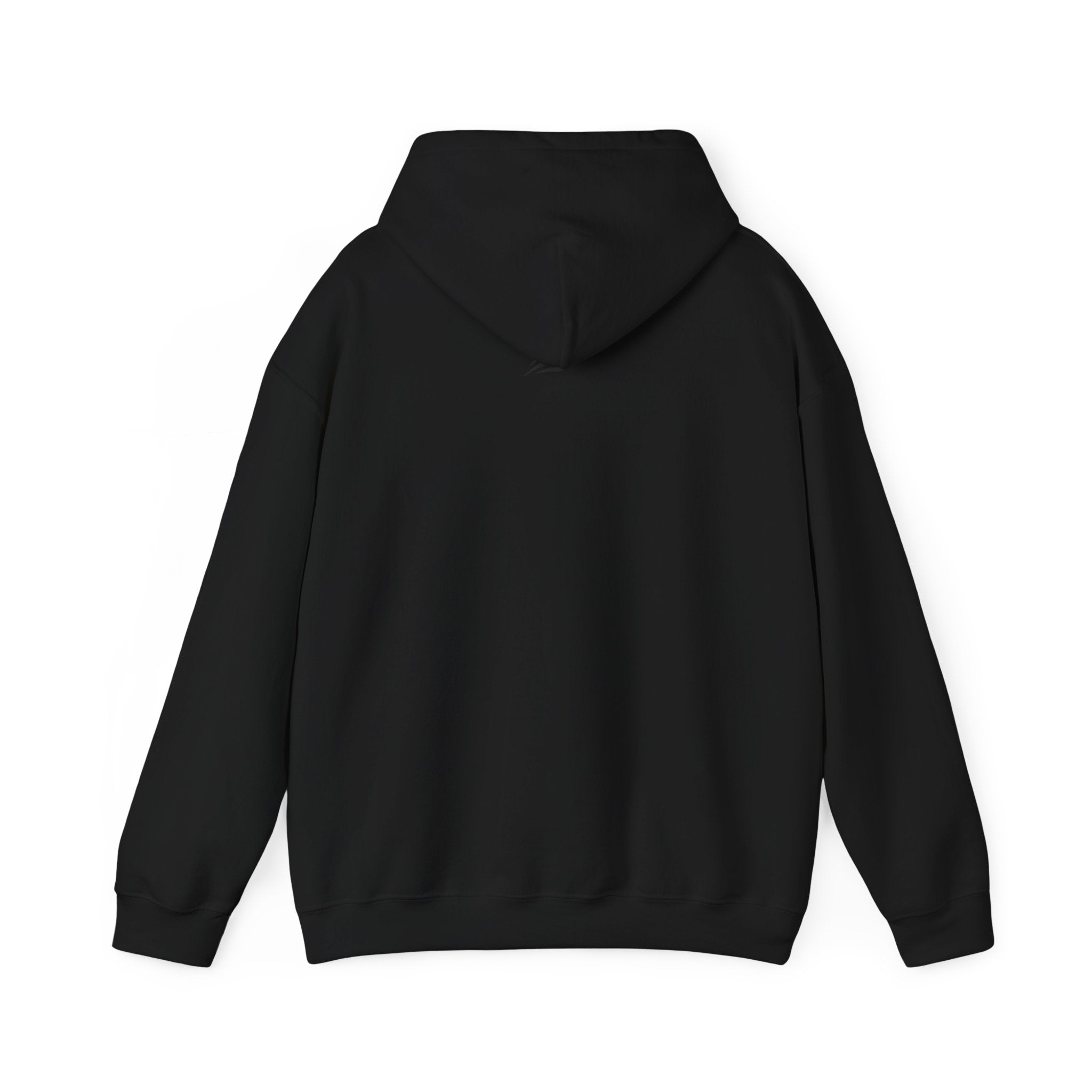 LAA Softball Lanier Longhorns "BLACKOUT EDITION" Midweight Hoodie | Classic LAA Softball Hoodie